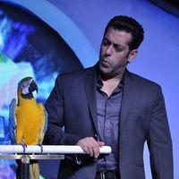 Salman Khan - Salman Khan at Big Boss 6 press meet Photos | Picture 278732