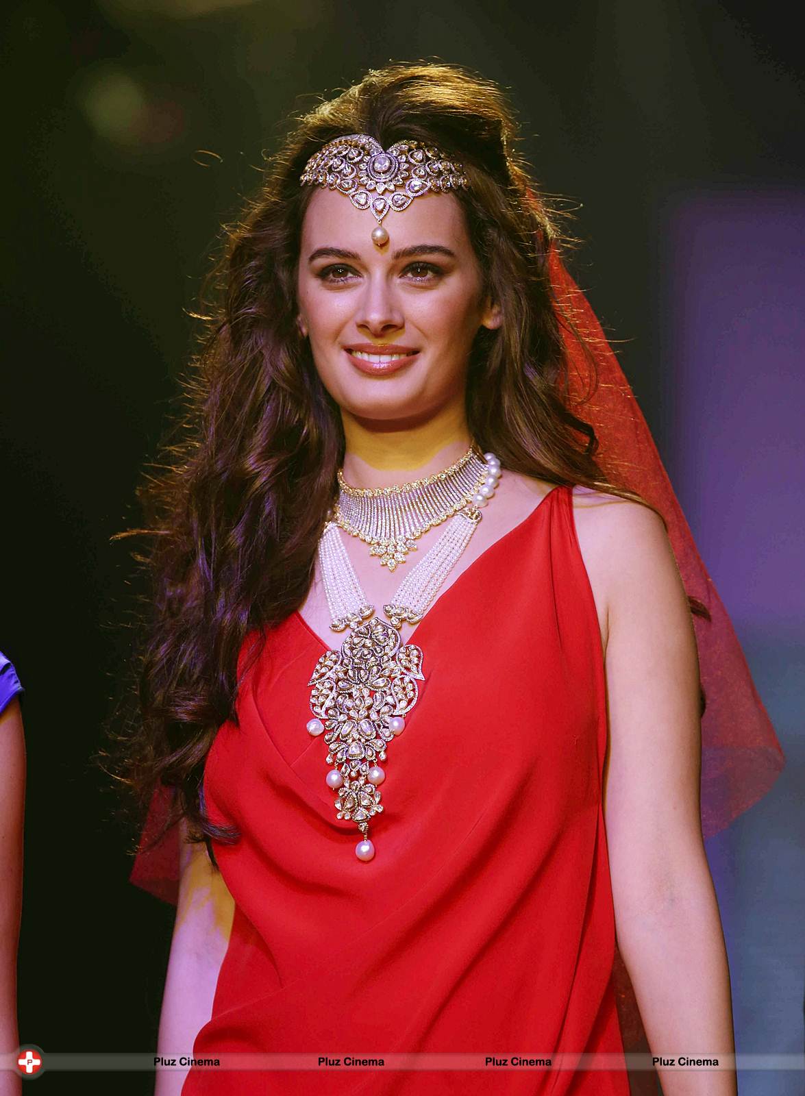 Evelyn Sharma - India International Jewellery Week 2013 - Day 1 Photos | Picture 529319