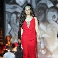 Evelyn Sharma - India International Jewellery Week 2013 - Day 1 Photos | Picture 529265