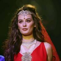 Evelyn Sharma - India International Jewellery Week 2013 - Day 1 Photos | Picture 529288
