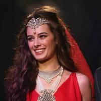 Evelyn Sharma - India International Jewellery Week 2013 - Day 1 Photos | Picture 529290