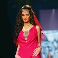 Evelyn Sharma - India International Jewellery Week 2013 - Day 1 Photos | Picture 529297