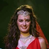 Evelyn Sharma - India International Jewellery Week 2013 - Day 1 Photos | Picture 529310