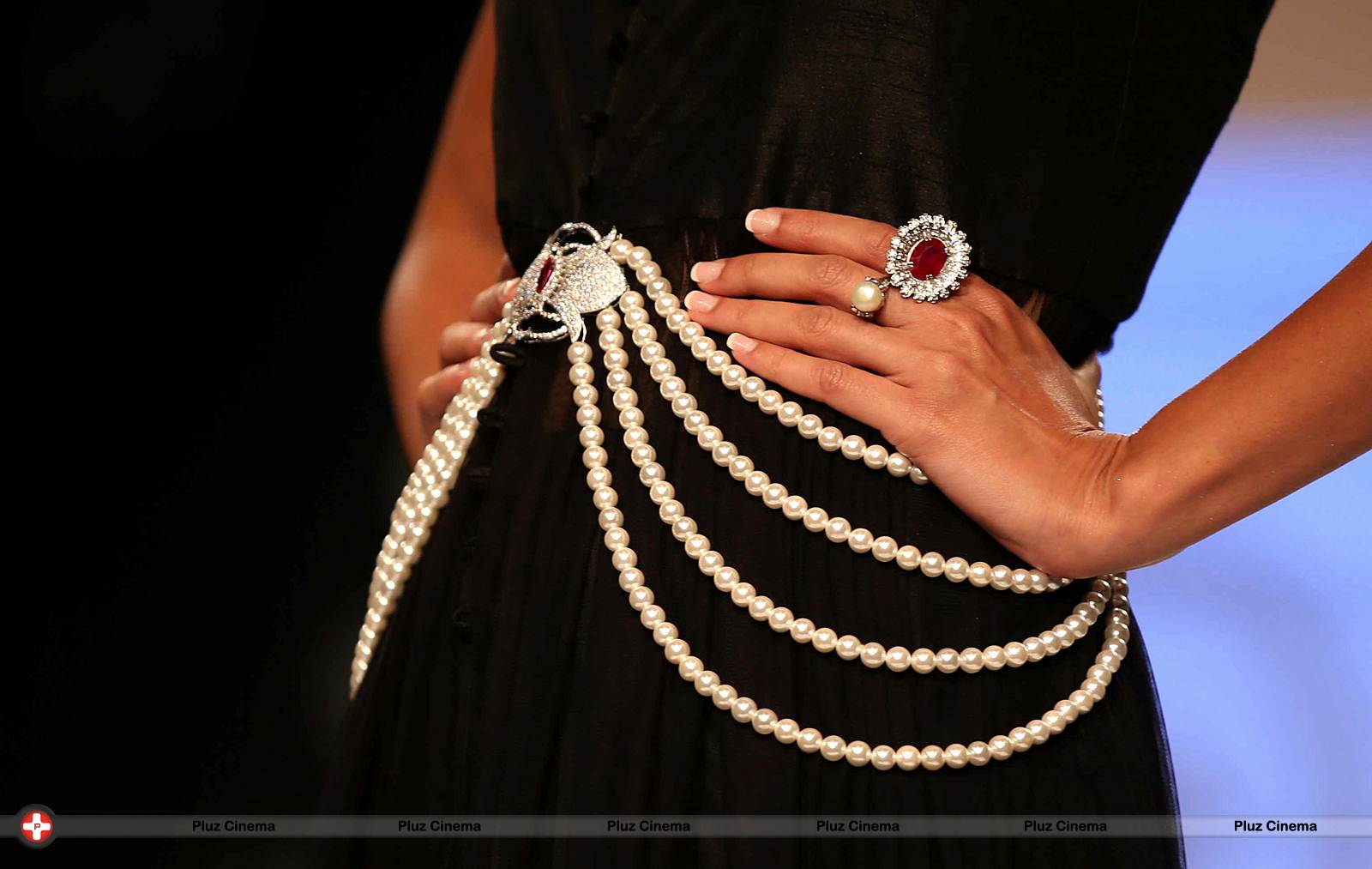 India International Jewellery Week 2013 - Day 2 Photos | Picture 530017