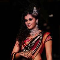 Taapsee Pannu - India International Jewellery Week 2013 - Day 2 Photos | Picture 530018