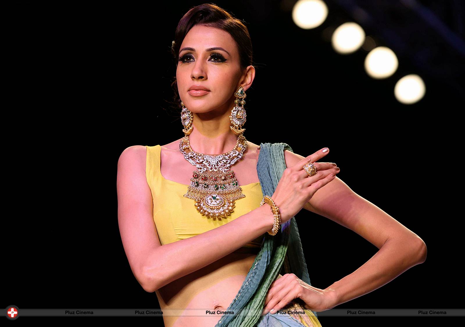 India International Jewellery Week 2013 - Day 3 Photos | Picture 530490