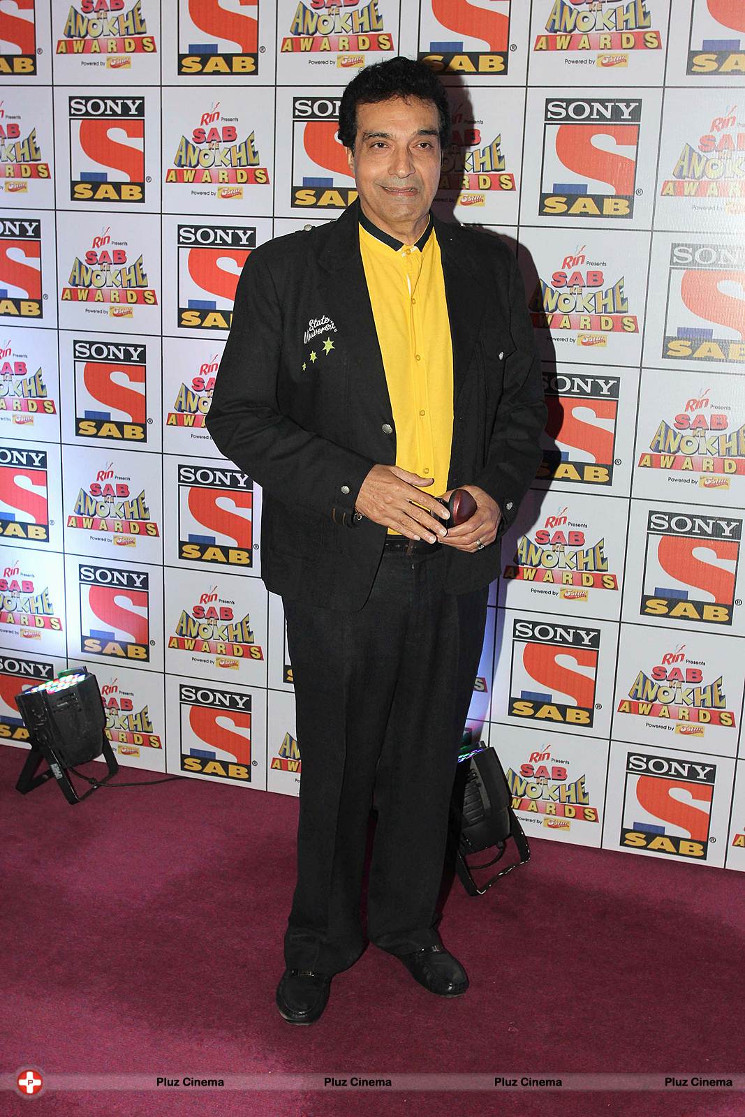 Dheeraj Kumar - SAB Ke Anokhe Television Awards 2013 Photos | Picture 542943