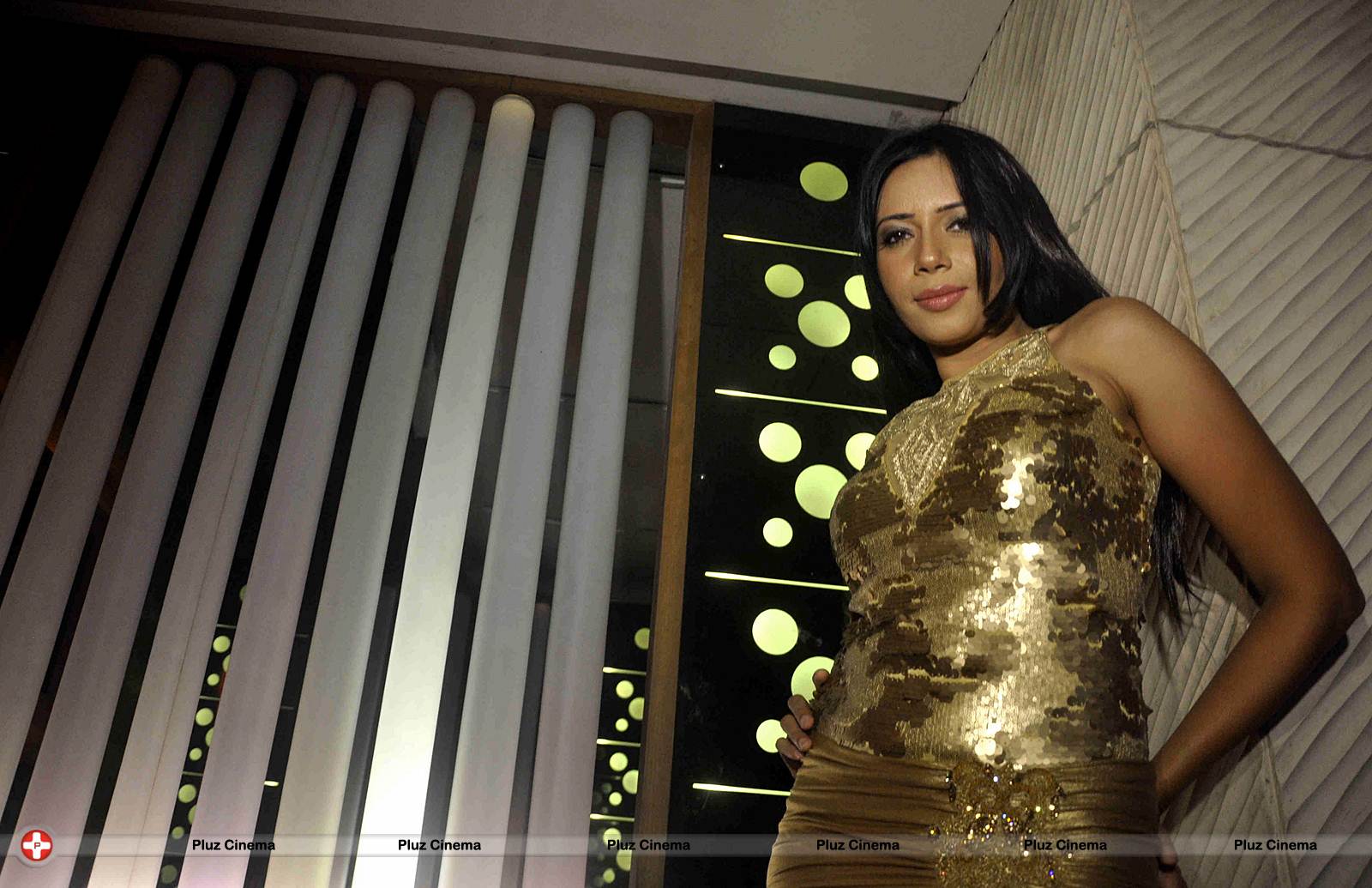 Rozlyn Khan 25th Birthday party Photos | Picture 554789