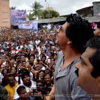 Shahrukh Khan - Bollywood celebrates Janmashtami Photos | Picture 555827