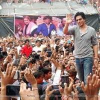 Shahrukh Khan - Bollywood celebrates Janmashtami Photos | Picture 555867