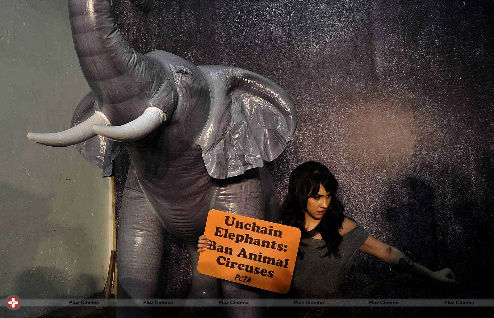Lauren Gottlieb protest for PETA anti-circus campaign photos | Picture 557330