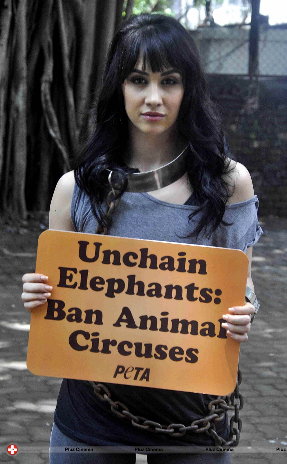 Lauren Gottlieb protest for PETA anti-circus campaign photos | Picture 557350