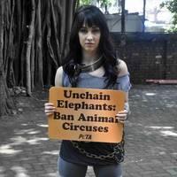 Lauren Gottlieb protest for PETA anti-circus campaign photos | Picture 557335