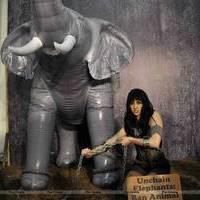 Lauren Gottlieb protest for PETA anti-circus campaign photos | Picture 557349