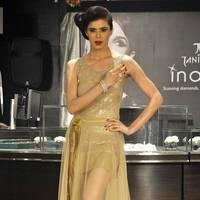 Eloise Schamrel - Launch of Inara diamond jewellery collection by Tanishq Photos