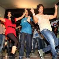Shahid Kapoor perform at Enigma 2013 to promote Phata Poster, Nikla Hero Photos | Picture 559730