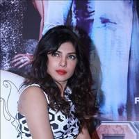 Priyanka Chopra - Promotion of movie Zanjeer in New Delhi Photos