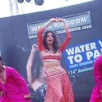 Miss Afghanistan Vida Samadzai at Water Kingdom - Photos | Picture 201309