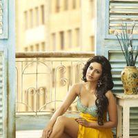 Priya Anand - G. Venkat Ram's Spicy Calendar 2012 - Pictures | Picture 143376