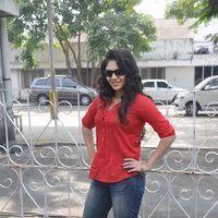 Sherin at Abhayam Movie Press Meet - Pictures | Picture 143487
