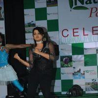 Stars At Nature Paradise Resort Celebrations - Pictures