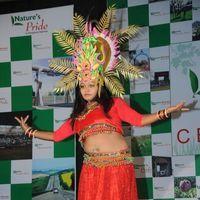 Stars At Nature Paradise Resort Celebrations - Pictures | Picture 185978