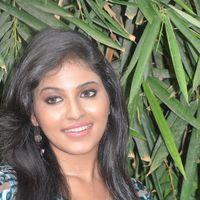 Anjali (Actress) - Kalakalappu aka Masala Cafe Movie Audio Release - Pictures | Picture 189900