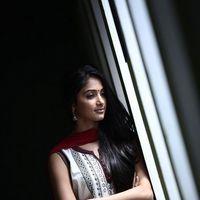Pooja Hegde - Mugamoodi Latest Stills | Picture 260908