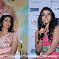 English Vinglish  Movie Trailer Launch Pictures | Picture 264159