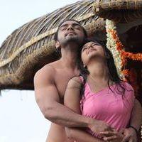 Punnami Rathri Movie Hot Stills | Picture 340377
