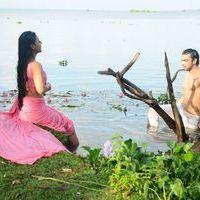 Punnami Rathri Movie Hot Stills | Picture 340379