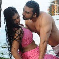 Punnami Rathri Movie Hot Stills | Picture 340396