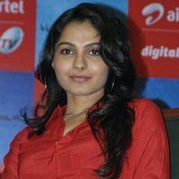 Andrea Jeremiah - Vishwaroopam Airtel Dth Launch Pictures | Picture 351120