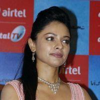 Pooja Kumar - Vishwaroopam Airtel Dth Launch Pictures | Picture 351137