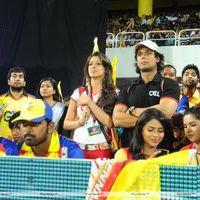 CCL Telugu Warriors Vs Chennai Rhinos Match - Pictures | Picture 163670