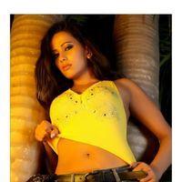 Sanjana Singh Hot in Yaarukku Theriyum - Stills | Picture 167634