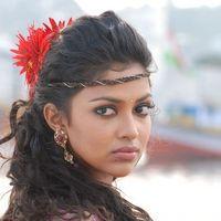 Amala Paul - Vettai Movie Hot Stills | Picture 147582