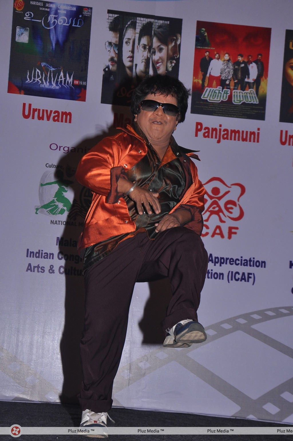Malaysian Indian Film Festival Award Function - Pictures | Picture 148441
