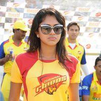 Amala Paul - Heroins at Chennai Rhinos Vs Kerala Strikers Match - Pictures | Picture 153280