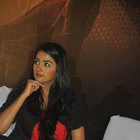Pooja Hegde Hot Stills | Picture 234283