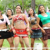 Aasami Movie Hot Stills | Picture 235381