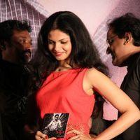 Anuya - Naan Audio Release Pictures | Picture 239512
