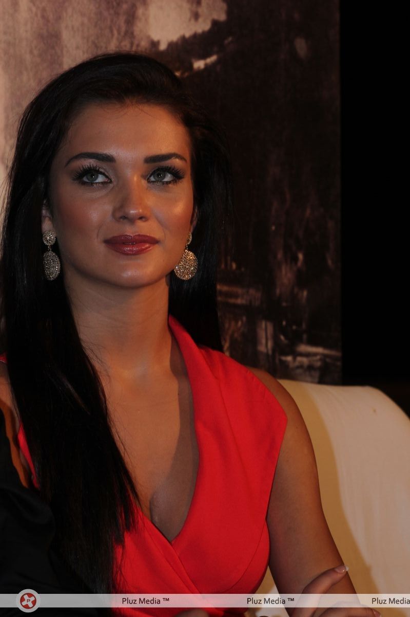 Amy Jackson - Thandavam Trailer Launch Pictures | Picture 241653