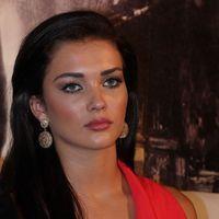 Amy Jackson - Thandavam Trailer Launch Pictures | Picture 241600