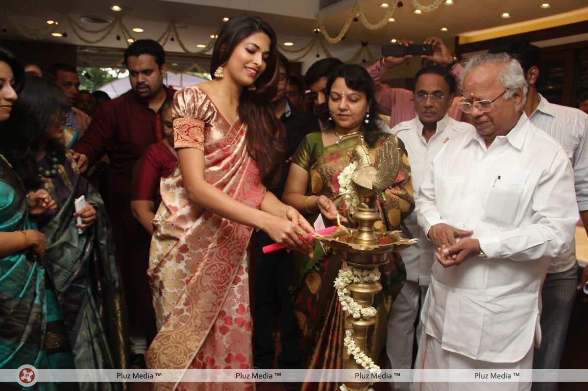 Parvathy Omanakuttan - Parvathy Omanakutan inaugurated Sri Palam - Pictures | Picture 208186