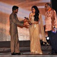 SIIMA Awards 2012 Day 2 in Dubai Photos | Picture 216391