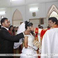 Actress Udhayathara Wedding Reception - Photos | Picture 201541