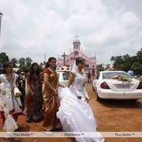 Actress Udhayathara Wedding Reception - Photos | Picture 201549