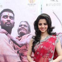 Vedhika Kumar - Paradesi Movie Audio Launch Pictures | Picture 325789