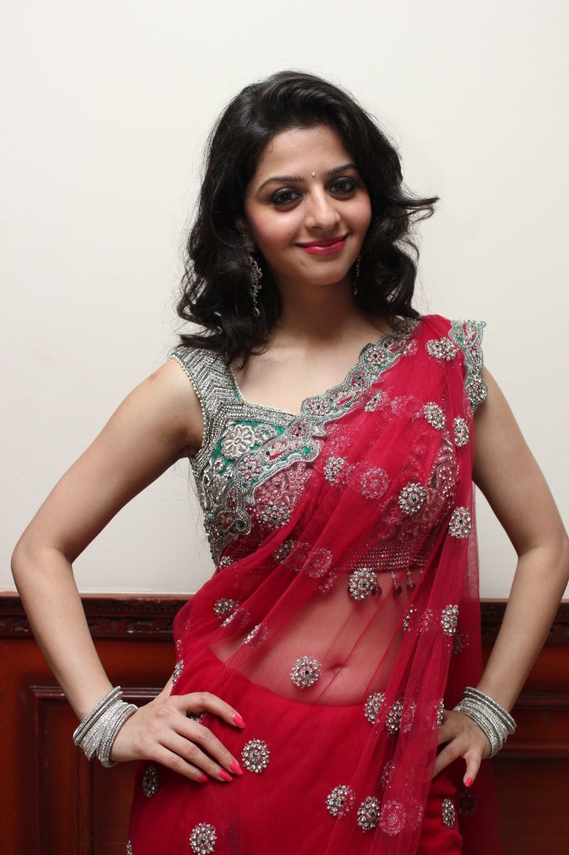 Vedhika Kumar - Paradesi Movie Press Meet Pictures | Picture 325744